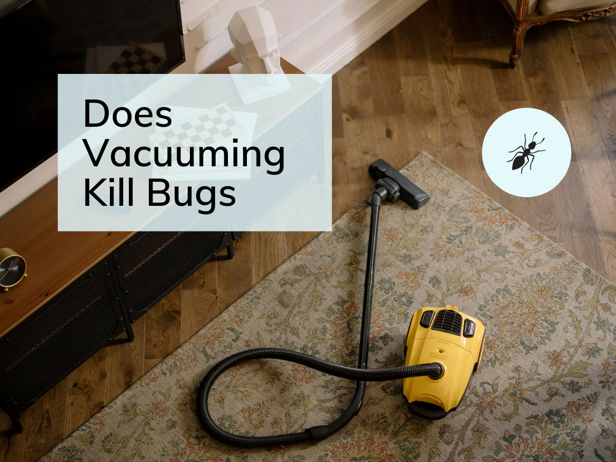 1. Vacuuming