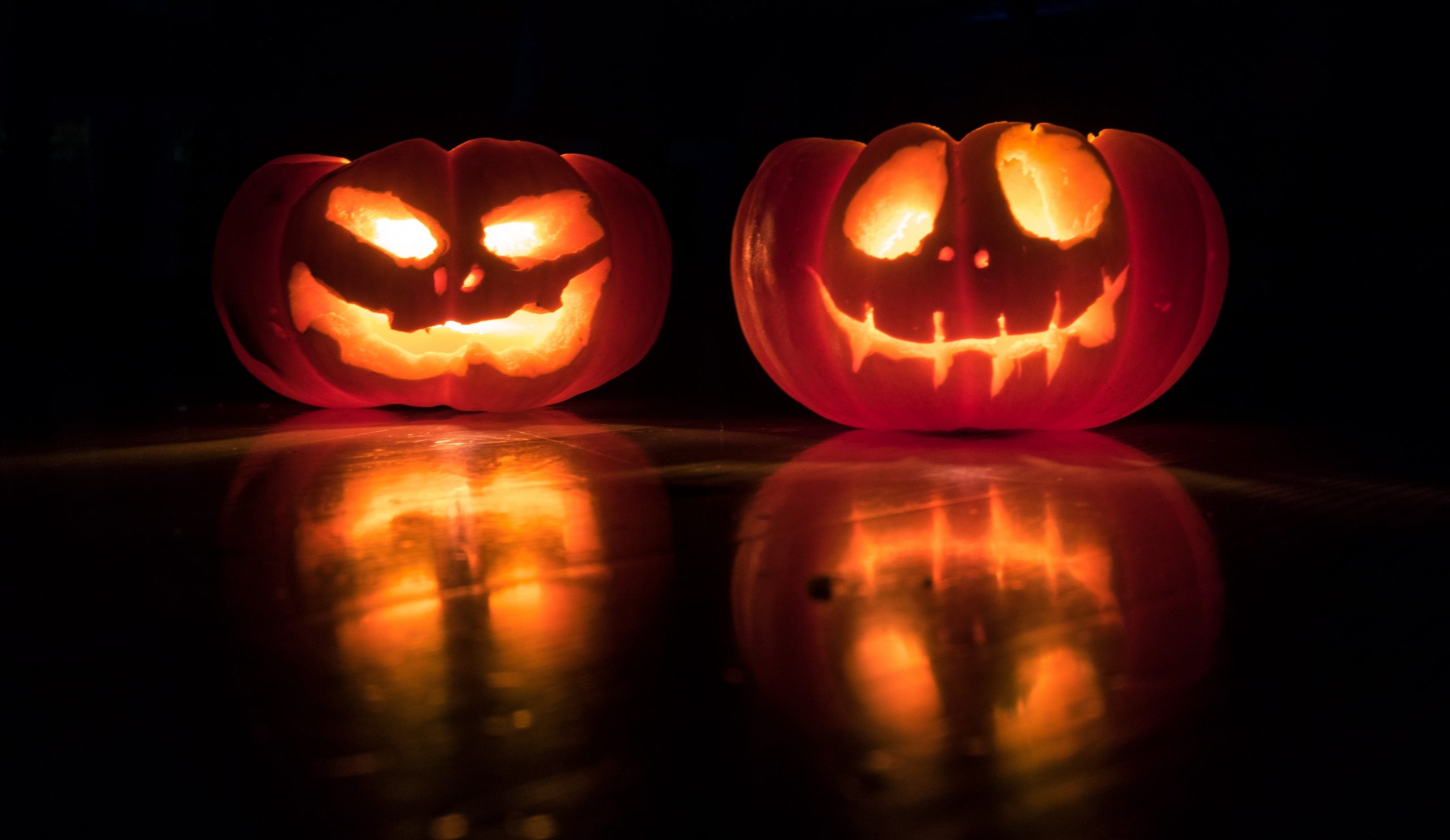 2 Keep The Pumpkin Out Of Direct Sunlight