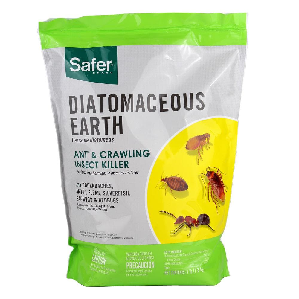 4 Diatomaceous Earth