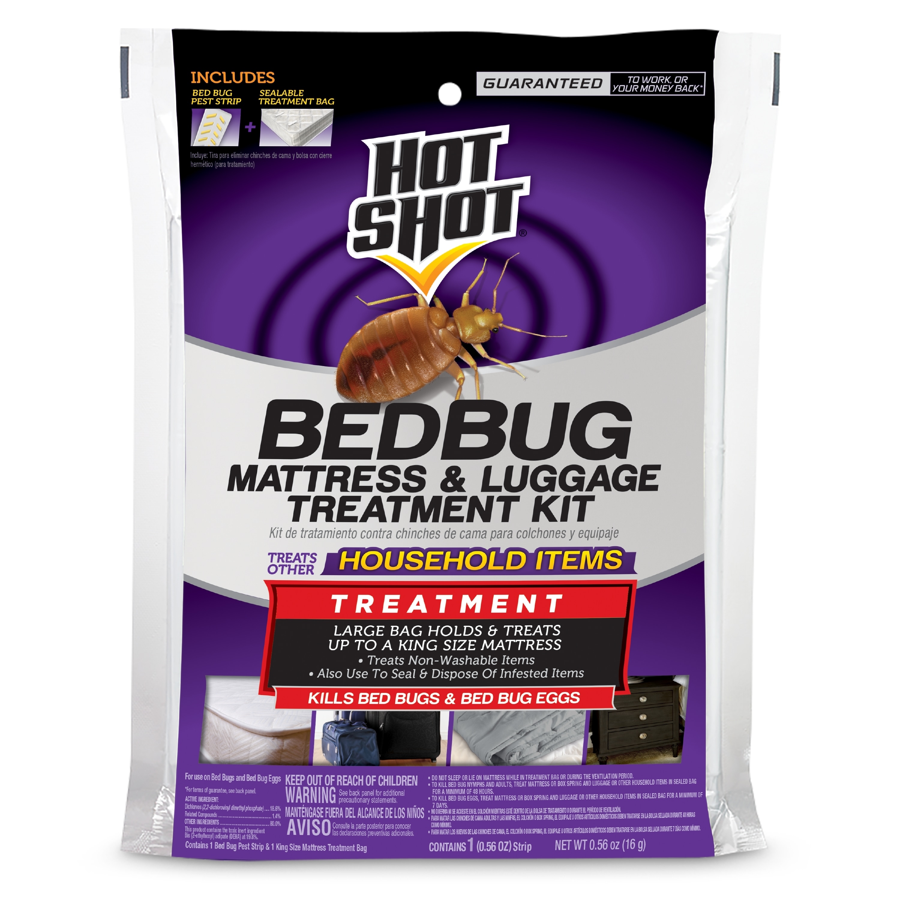 Bed Bug Treatment