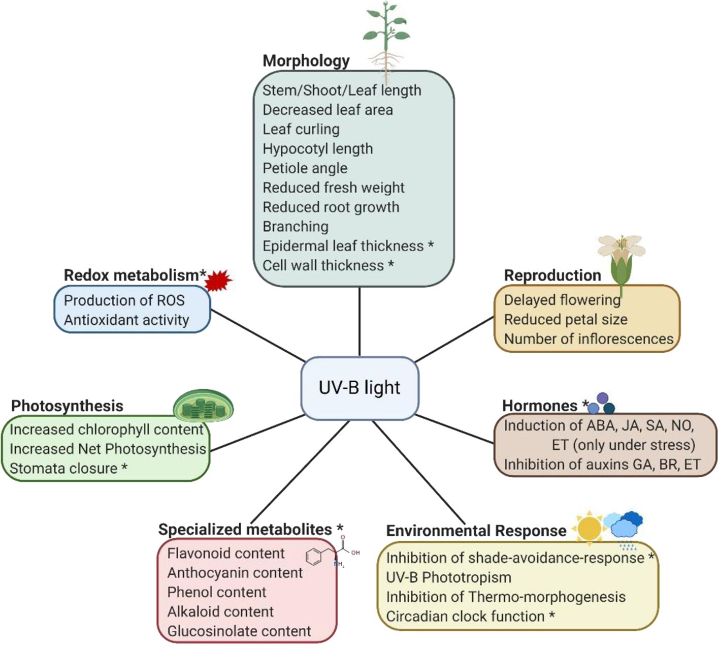 Benefits Of Uv Light