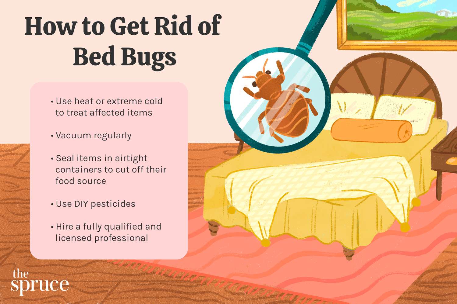 Control Of Bed Bugs