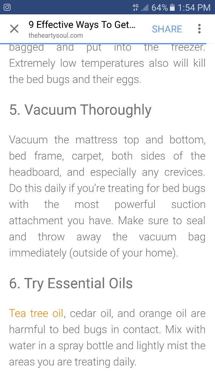 How To Dilute Tea Tree Oil For Bed Bugs?