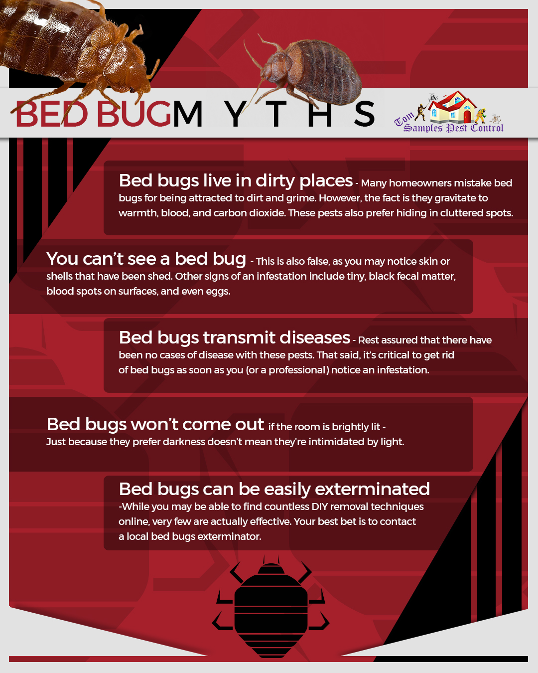 How To Prevent Bed Bugs From Hiding