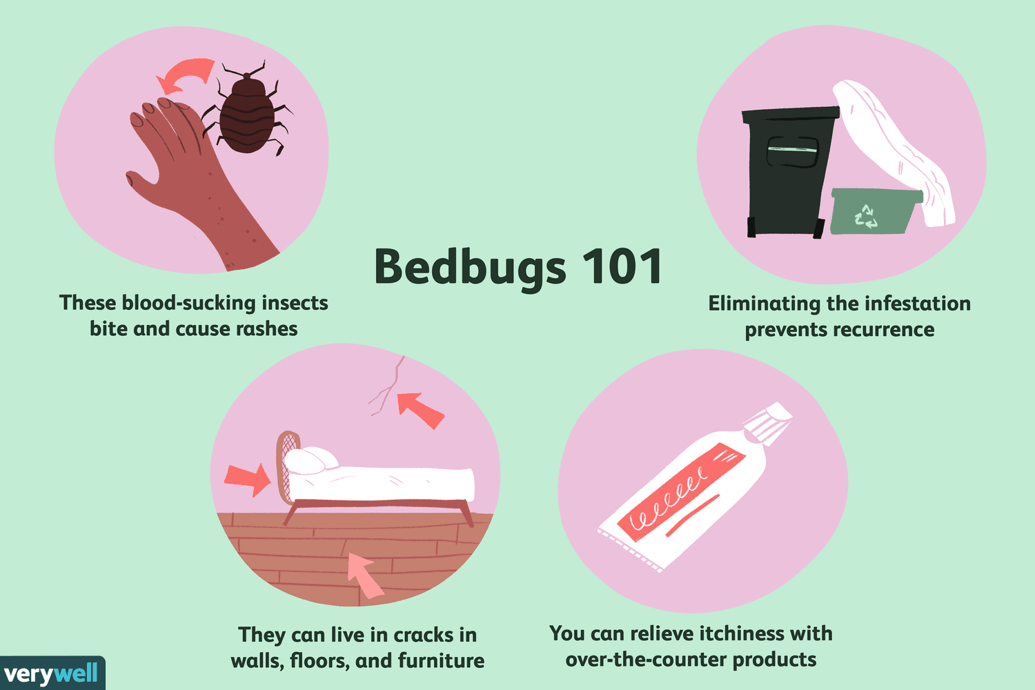 How To Reduce The Risk Of Bed Bug Bites