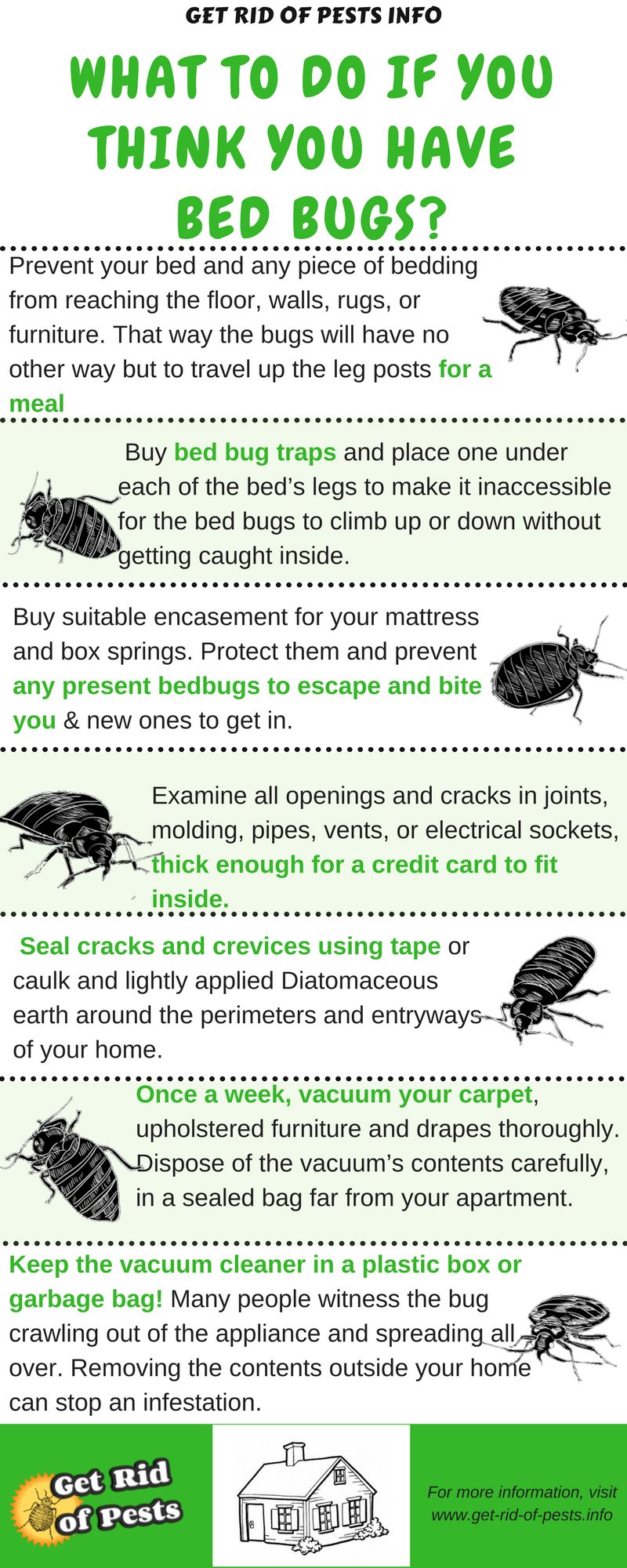 How To Stop Bed Bugs From Spreading