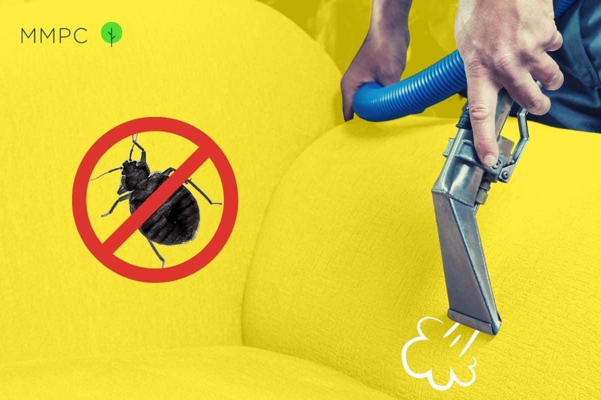 How To Use A Steamer To Kill Bed Bugs