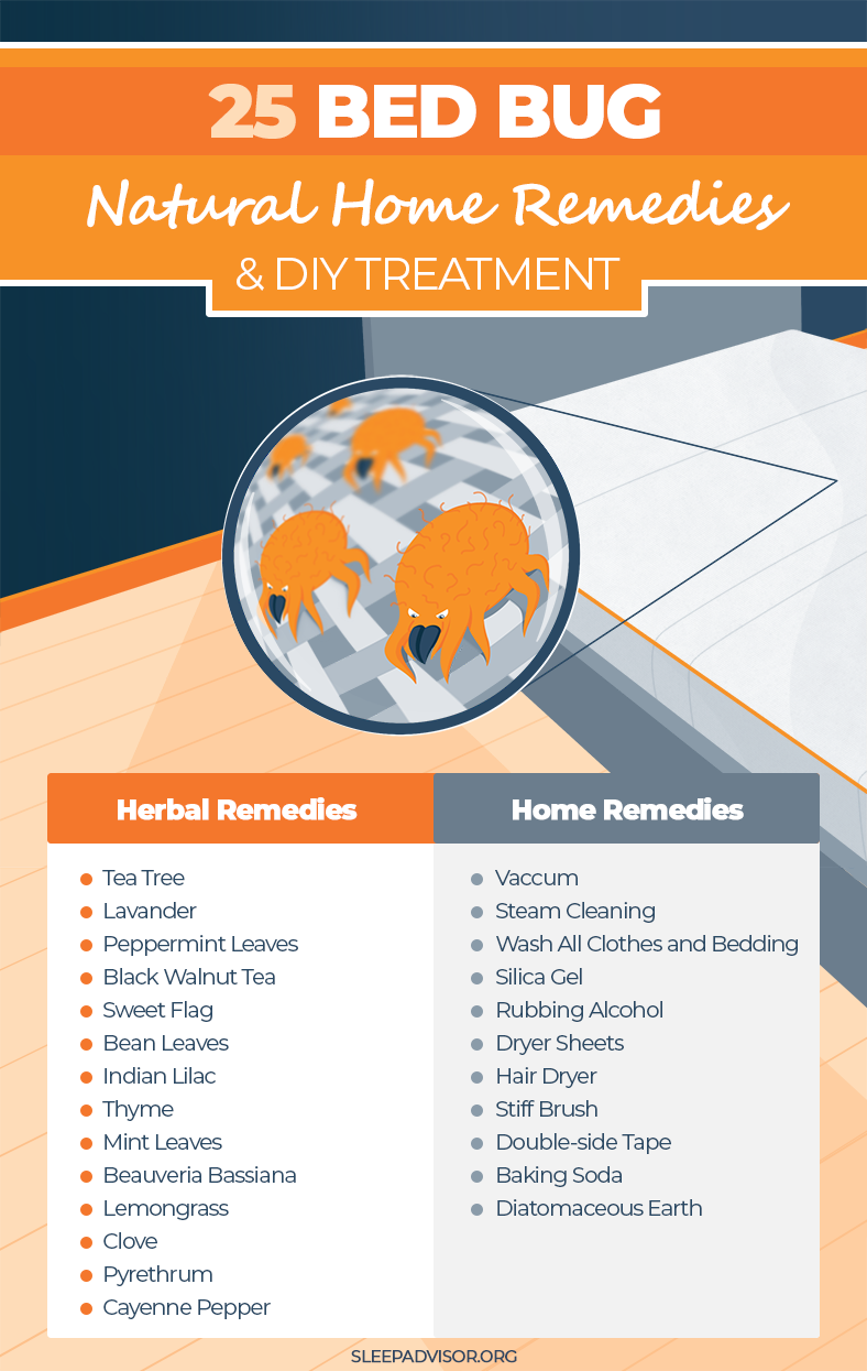 Natural Remedies For Removing Bed Bug Stains