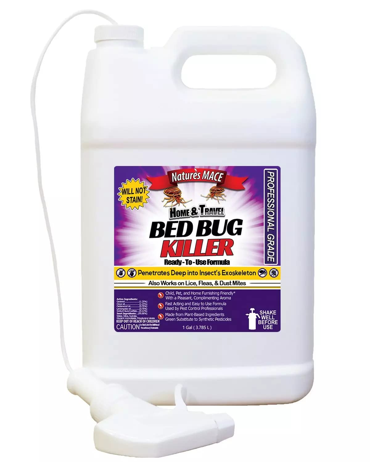 Professional Bed Bug Treatments