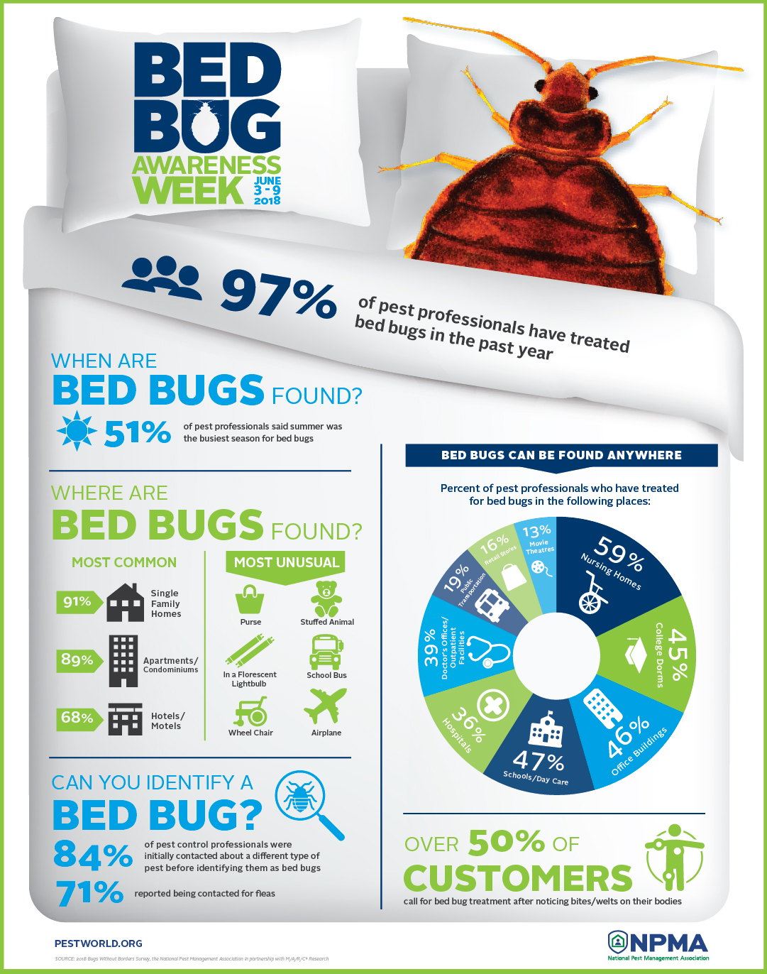 Pros And Cons Of Bed Bug Treatment