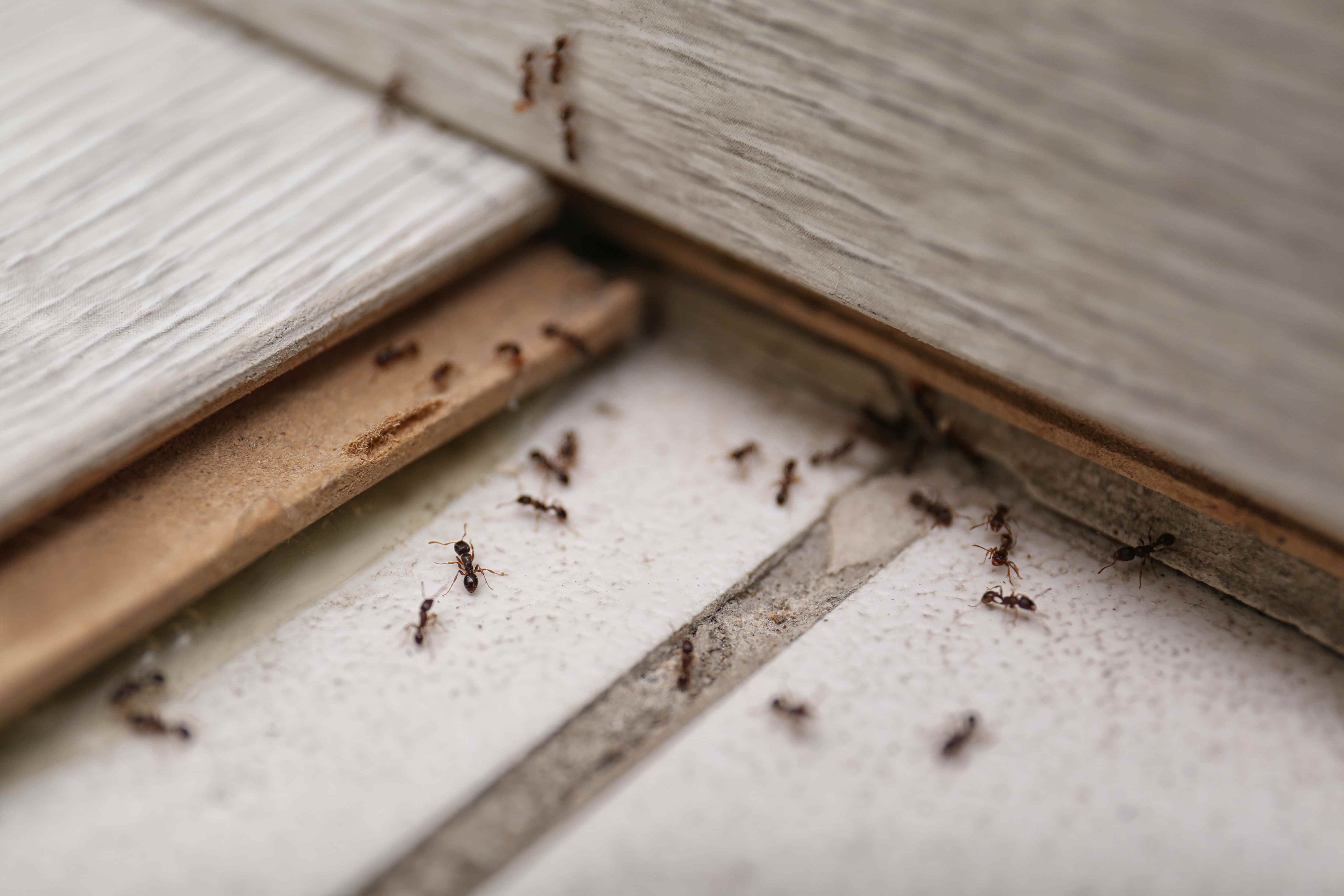 Seal Windows, Doors, And Cracks