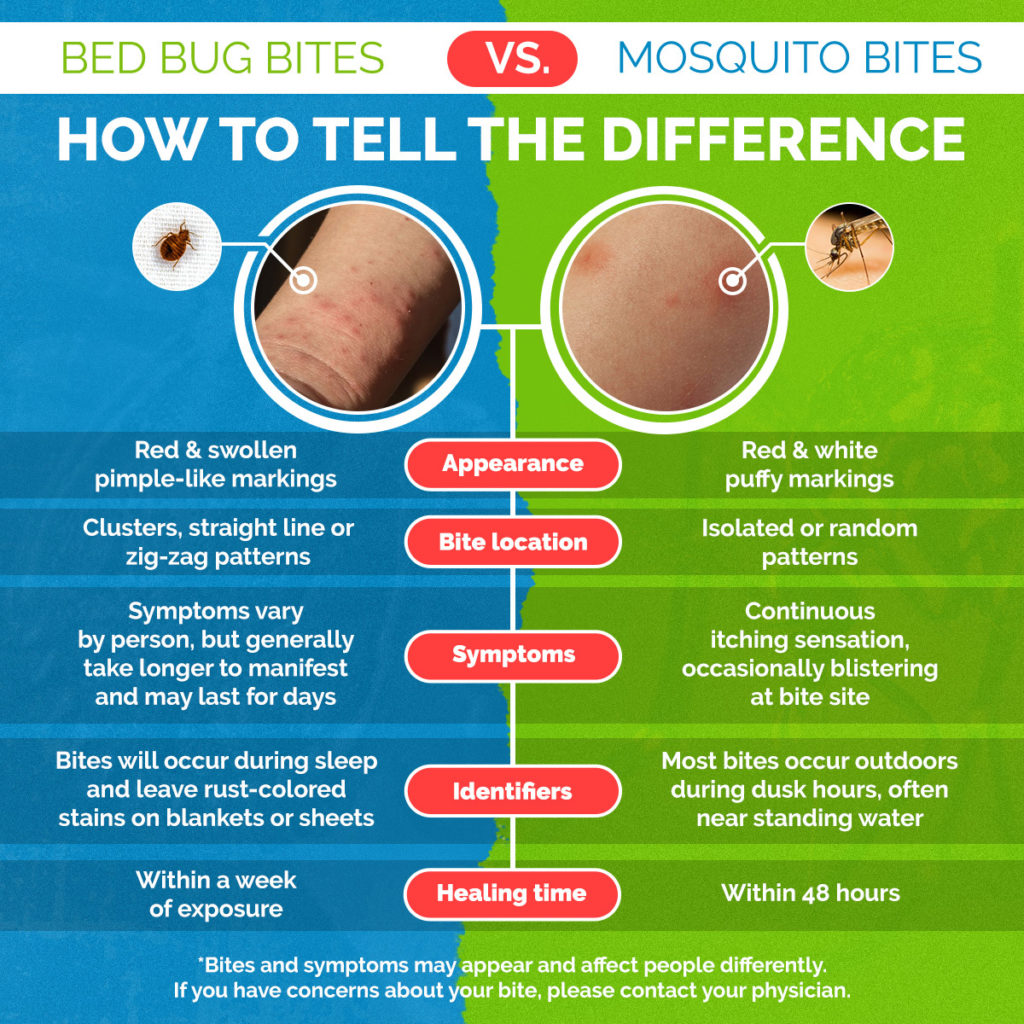 Signs And Symptoms Of Mosquito Bites