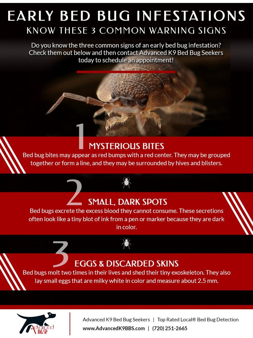 Signs Of A Bed Bug Infestation