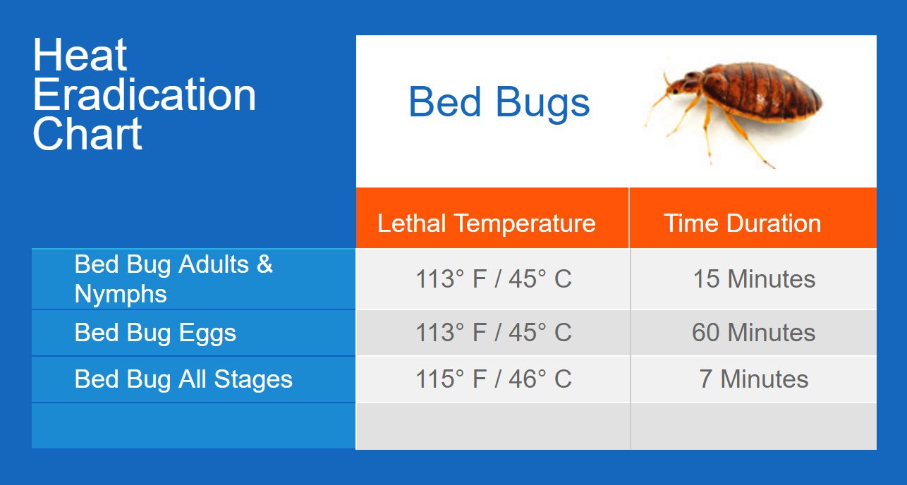 Table Of Bed Bug Characteristics