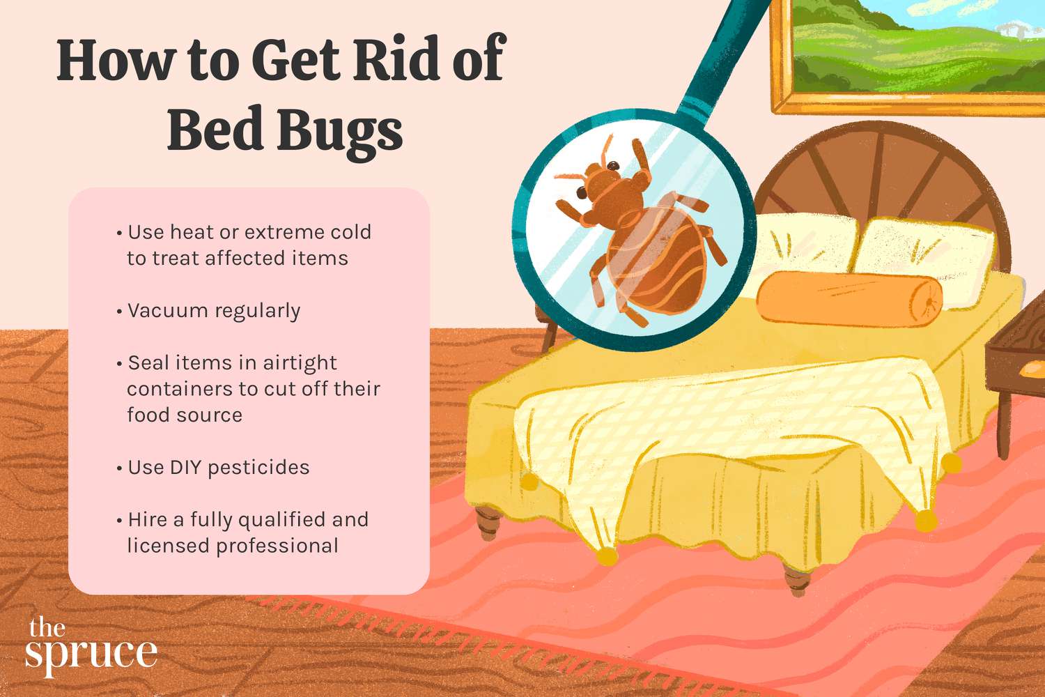 Treatment Of Bed Bugs