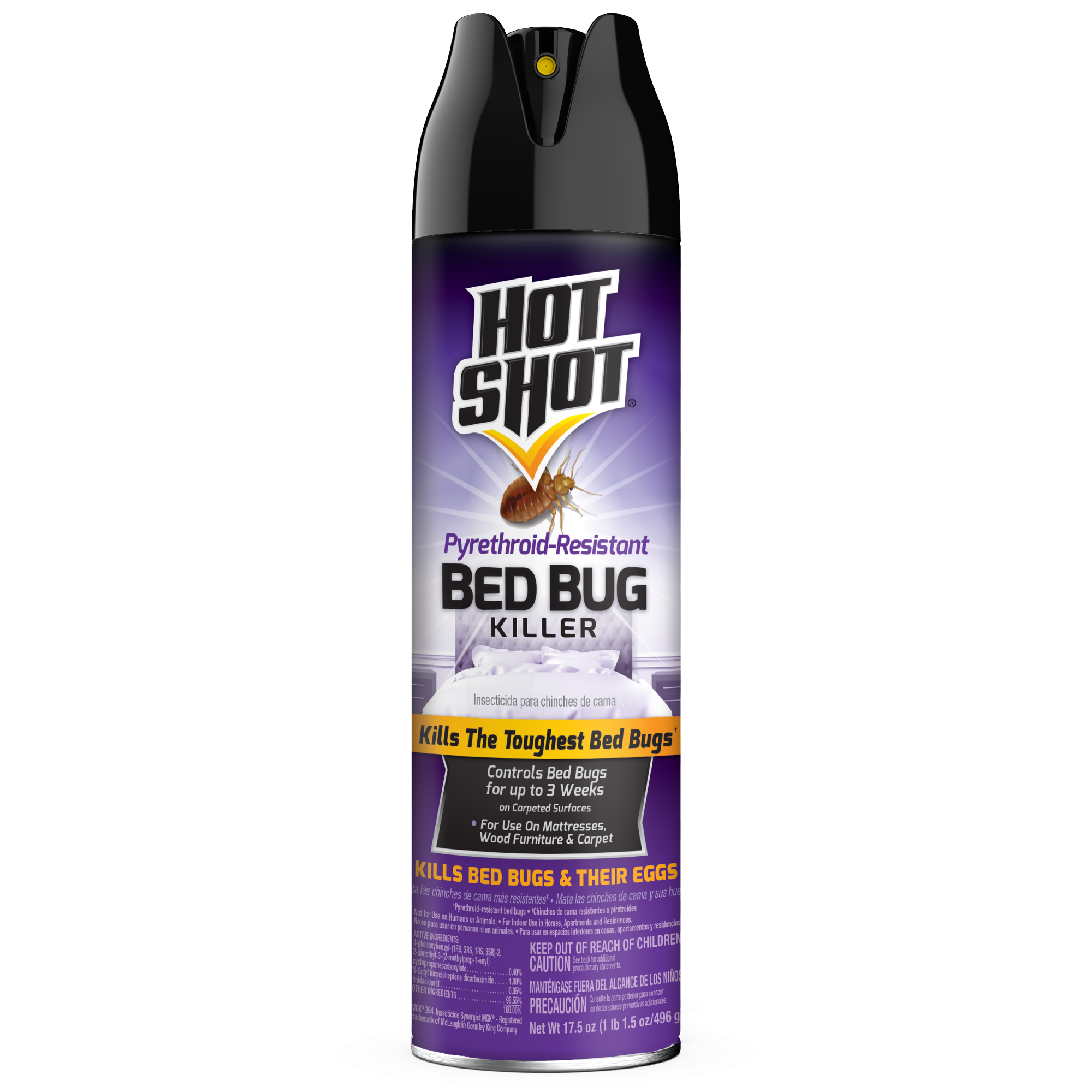 Treatment Of Bed Bugs In Carpets