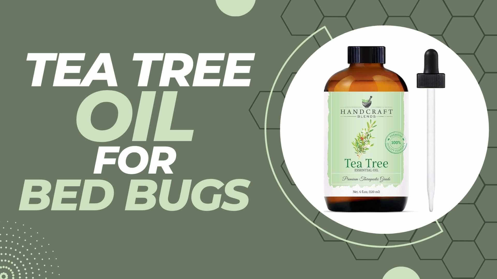 What Are The Risks Of Using Tea Tree Oil?