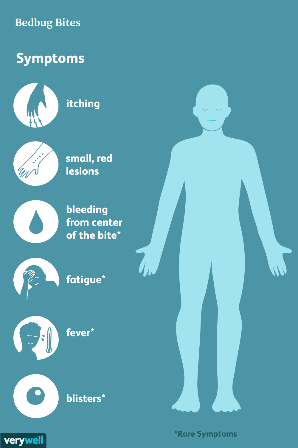 What Are The Signs And Symptoms Of Bed Bug Bites?