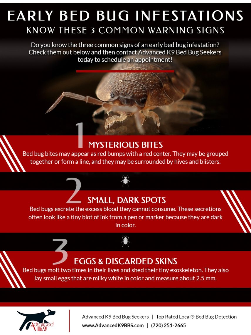 What Are The Signs Of Bed Bug Infestation?