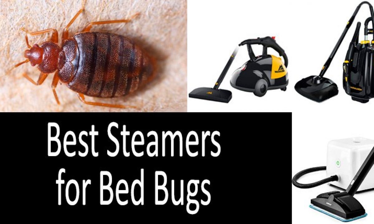 Where To Buy A Bed Bug Steamer